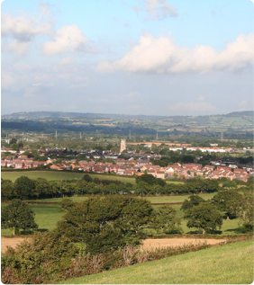 picture of the Cullompton field view